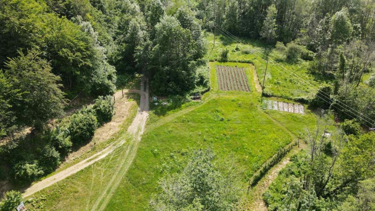 Holiday Bungalows Pajkovir Kolašin Exteriör bild